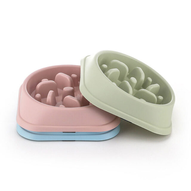 Anti-Choking Pet Bowl Slow Food Feeder - Image 5