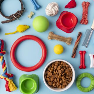 Pet Accessories